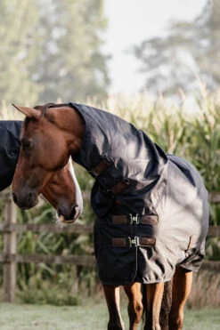 Kentucky Horsewear All Weather Waterproof Classic, Regendecke, 150g -Reitsportbedarf Verkäufe 2024 333287 DB 6