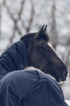 Kentucky Horsewear All Weather Waterproof Classic Winterdecke, 300g -Reitsportbedarf Verkäufe 2024 333289 DB 6