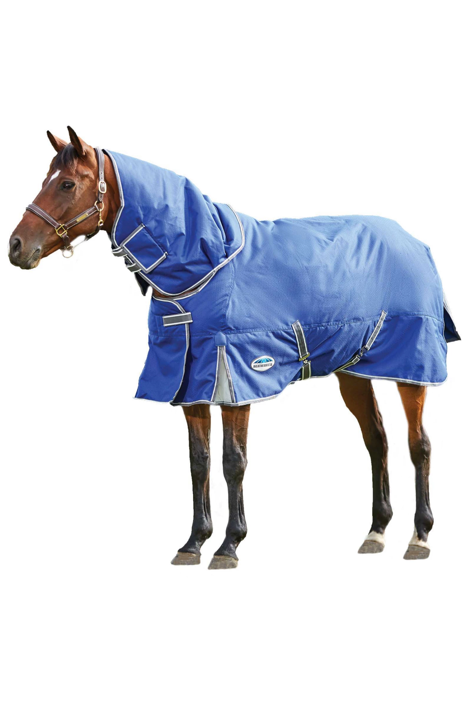 Weatherbeeta Comfitec Premier Free II Weidedecke Mit Abnehmbarem Halsteil, 100g 3 Weatherbeeta Comfitec Premier Free II Weidedecke Mit Abnehmbarem Halsteil, 100g