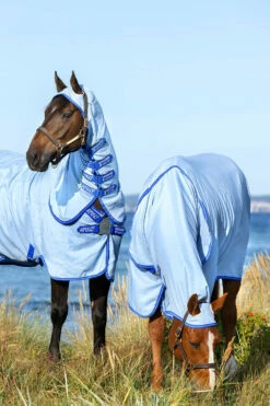 Horseware Amigo Hoody Exzemer Decke Mit Festem Halsteil -Reitsportbedarf Verkäufe 2024 334223 ABB SGB SI 3