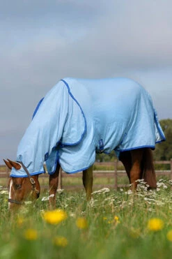 Horseware Amigo Hoody Exzemer Decke Mit Festem Halsteil -Reitsportbedarf Verkäufe 2024 334223 ABB SGB SI 4