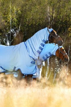 Horseware Amigo Hoody Exzemer Decke Mit Festem Halsteil -Reitsportbedarf Verkäufe 2024 334223 ABB SGB SI 5
