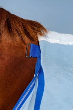 Horseware Amigo Hoody Exzemer Decke Mit Festem Halsteil -Reitsportbedarf Verkäufe 2024 334223 ABB SGB SI 9