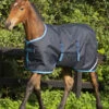 Horseware Amigo Ripstop Fohlendecke, 200g -Reitsportbedarf Verkäufe 2024 334224 DB EB 1