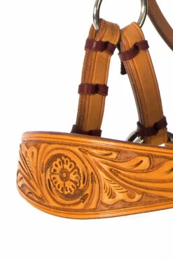 F.R.A. Diego Gebisslose Trense -Reitsportbedarf Verkäufe 2024 334265 NAT 9