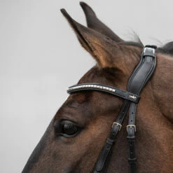 Schockemöhle Equitus Rho Genickstück -Reitsportbedarf Verkäufe 2024 335287 BL SI 3