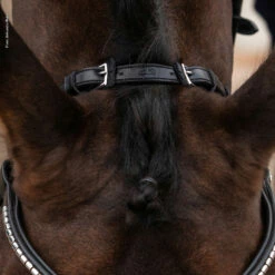 Schockemöhle Equitus Rho Genickstück -Reitsportbedarf Verkäufe 2024 335287 BL SI 4