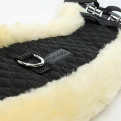 Kavalkade Mondgurt Mit Lammfell -Reitsportbedarf Verkäufe 2024 335738 BL 5