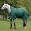 Weatherbeeta Comfitec Plus Dynamic II High Neck Weidedecke, 0g -Reitsportbedarf Verkäufe 2024 335959 HGR DB 1