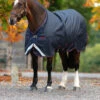 Horseware Amigo Bravo 12 XL Weidedecke, 0g -Reitsportbedarf Verkäufe 2024 335983 DB DB RE 2