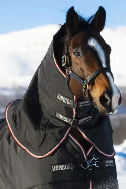 Horseware Rambo Supreme Halsteil, 250g -Reitsportbedarf Verkäufe 2024 336113 BL OR BL 2