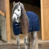 Horseware Rambo Stalldecke Geprägtes Innenfutter, 200g 2 Horseware Rambo Stalldecke Geprägtes Innenfutter, 200g -Reitsportbedarf Verkäufe 2024 336124 DB DB WH 1