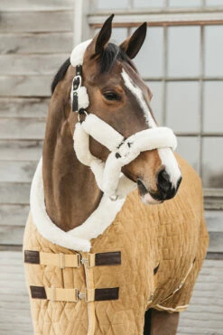 Kentucky Horsewear Velvet Pony Turnierdecke, 160g -Reitsportbedarf Verkäufe 2024 336616 MGO 2
