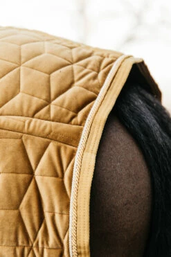 Kentucky Horsewear Velvet Pony Turnierdecke, 160g -Reitsportbedarf Verkäufe 2024 336616 MGO 6