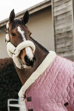 Kentucky Horsewear Velvet Pony Turnierdecke, 160g -Reitsportbedarf Verkäufe 2024 336616 RRPI 3