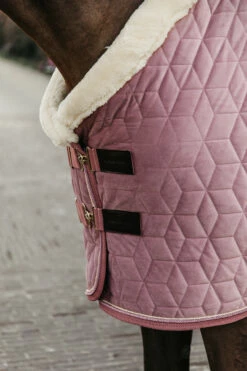 Kentucky Horsewear Velvet Pony Turnierdecke, 160g -Reitsportbedarf Verkäufe 2024 336616 RRPI 4