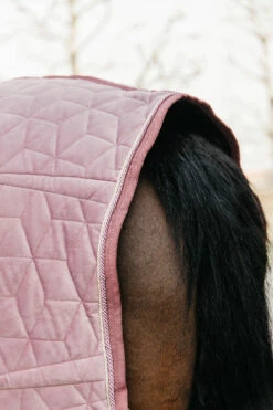 Kentucky Horsewear Velvet Pony Turnierdecke, 160g -Reitsportbedarf Verkäufe 2024 336616 RRPI 6