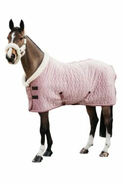Kentucky Horsewear Velvet Turnierdecke, 160g -Reitsportbedarf Verkäufe 2024 336617 RRPI 3