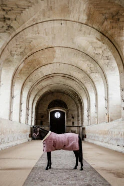 Kentucky Horsewear Velvet Turnierdecke, 160g -Reitsportbedarf Verkäufe 2024 336617 RRPI 4