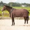 Harry's Horse Highliner Stalldecke, 200g -Reitsportbedarf Verkäufe 2024 336761 BRBR 1