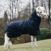 Kentucky Horsewear Pony All Weather Classic Weidedecke, 0g -Reitsportbedarf Verkäufe 2024 336885 DB 1