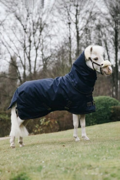 Kentucky Horsewear Pony All Weather Classic Weidedecke, 0g