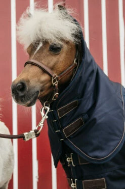 Kentucky Horsewear Pony All Weather Classic Weidedecke, 0g -Reitsportbedarf Verkäufe 2024 336885 DB 3