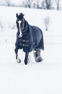 Kentucky Horsewear Tiny All Weather Weidedecke, 300g -Reitsportbedarf Verkäufe 2024 336887 DB 3