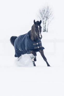 Kentucky Horsewear Tiny All Weather Weidedecke, 300g -Reitsportbedarf Verkäufe 2024 336887 DB 4