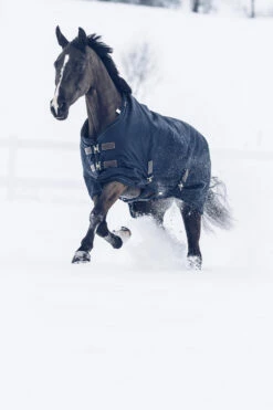 Kentucky Horsewear Tiny All Weather Weidedecke, 300g -Reitsportbedarf Verkäufe 2024 336887 DB 5
