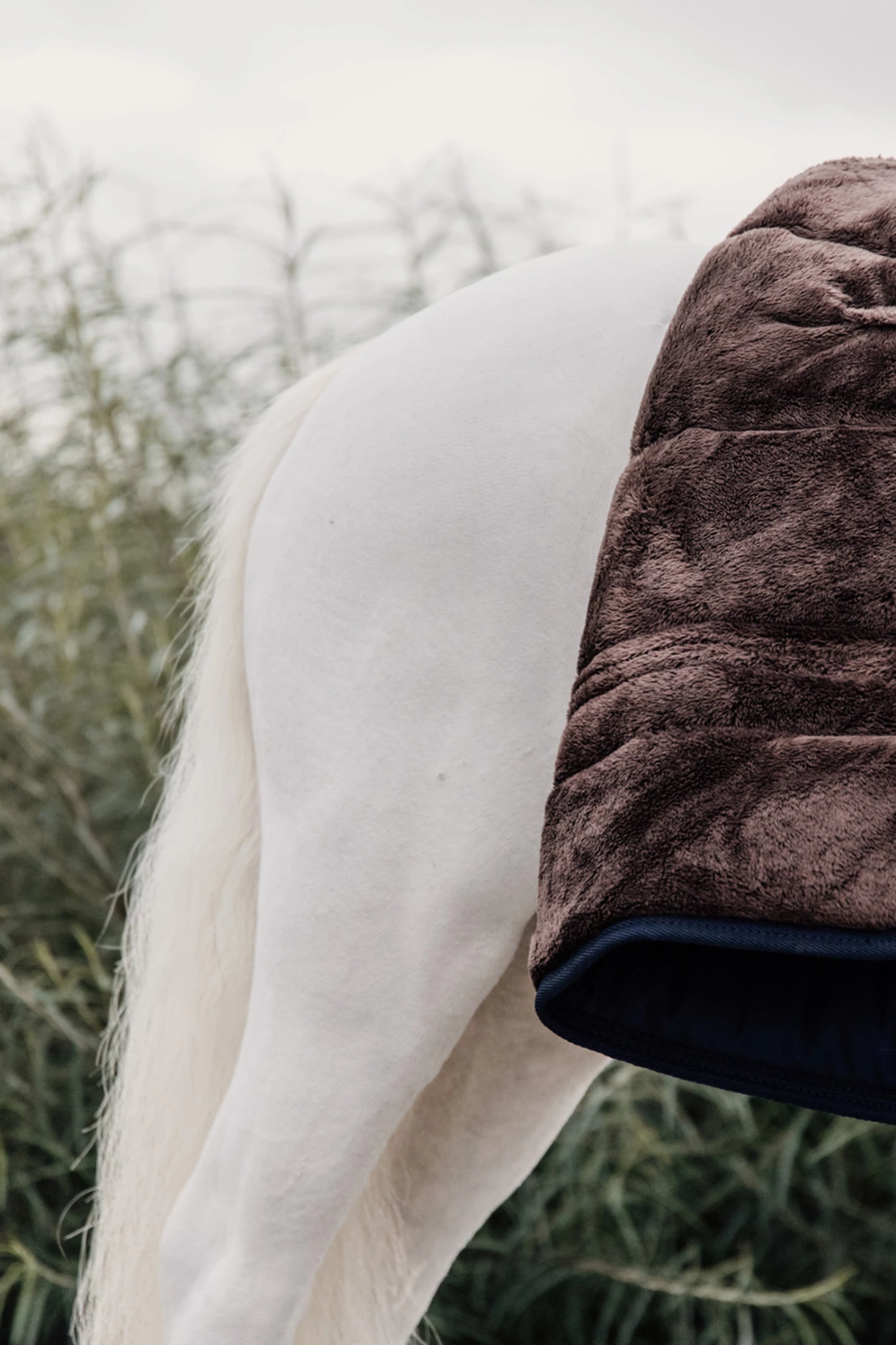 Kentucky Horsewear Tiny Skin Friendly Unterdecke, 150g 4 Kentucky Horsewear Tiny Skin Friendly Unterdecke, 150g – Bild 2