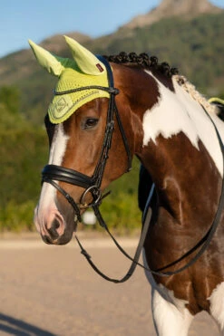 LeMieux Classic Fliegenohren -Reitsportbedarf Verkäufe 2024 338077 SLGR 02