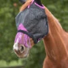 Weatherbeeta Comfitec Deluxe Durable Mesh Maske Mit Ohren Und Fransen -Reitsportbedarf Verkäufe 2024 338270 BL PU 1