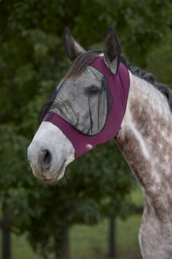 Weatherbeeta Deluxe Stretch Fliegenmaske Mit Ohren -Reitsportbedarf Verkäufe 2024 338282 PU BL 1