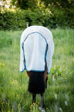 Horseware AmEco Bug Rug Fliegendecke -Reitsportbedarf Verkäufe 2024 340202 SI EB 3
