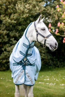 Horseware Amigo Plant Dye Weidedecke, 50g -Reitsportbedarf Verkäufe 2024 340224 B DB 3