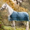 Horseware Eco Liner, 300g -Reitsportbedarf Verkäufe 2024 340949 TE G 1