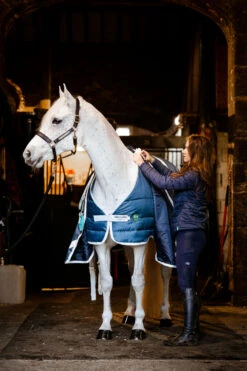 Horseware Eco Liner, 300g -Reitsportbedarf Verkäufe 2024 340949 TE G 3