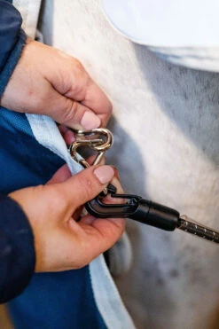 Horseware Eco Liner, 300g -Reitsportbedarf Verkäufe 2024 340949 TE G 7