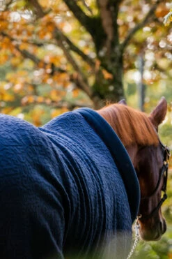Horseware Embossed Cosy Neck Abschwitzdecke -Reitsportbedarf Verkäufe 2024 340951 DB BU 7