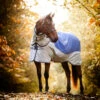 Horseware Rambo Autumn Series 2 Horseware Rambo Autumn Series -Reitsportbedarf Verkäufe 2024 340954 DB G 1