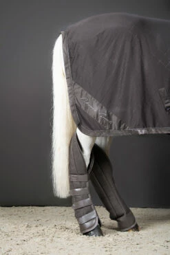 Eskadron Classic Sports FS22 Aerial Jersey Abschwitzdecke -Reitsportbedarf Verkäufe 2024 341070 FSBR 3