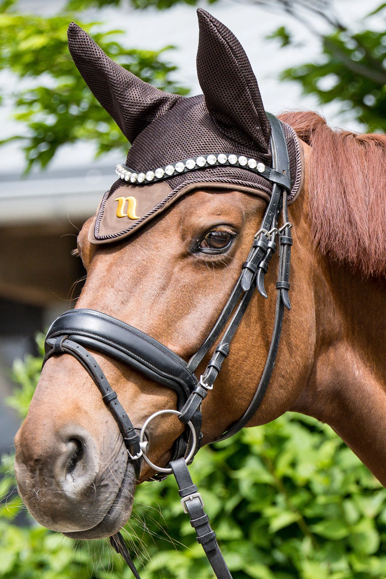 Back On Track Airflow Fliegenhaube 8 Back On Track Airflow Fliegenhaube – Bild 6