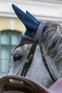 Back On Track Airflow Fliegenhaube 13 Back On Track Airflow Fliegenhaube -Reitsportbedarf Verkäufe 2024 342171 B 3