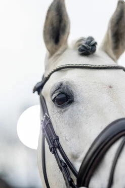 LeMieux Classic Dressurtrense -Reitsportbedarf Verkäufe 2024 342209 HVBR 4