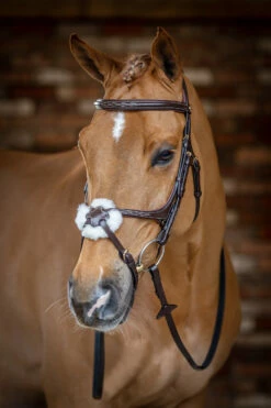 LeMieux Mexikanische Trense -Reitsportbedarf Verkäufe 2024 342214 HVBR 1