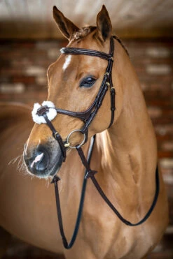 LeMieux Mexikanische Trense -Reitsportbedarf Verkäufe 2024 342214 HVBR 2