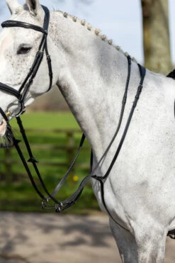 LeMieux Ringmartingal -Reitsportbedarf Verkäufe 2024 342217 BL 1