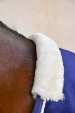 Harcour Cancale Abschwitzdecke -Reitsportbedarf Verkäufe 2024 342514 DB 3