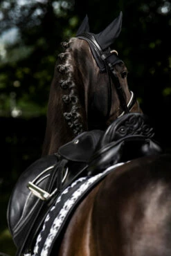 Eskadron Essence 22/23 Big Square Glossy Dressurschabracke -Reitsportbedarf Verkäufe 2024 342542 BL WH LOGR 3